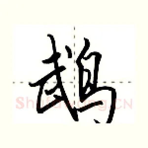 鹉