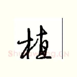 植