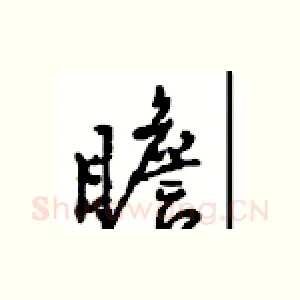 瞻