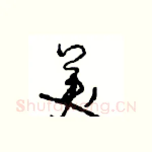 美