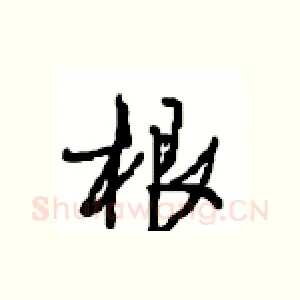 根