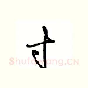 寸