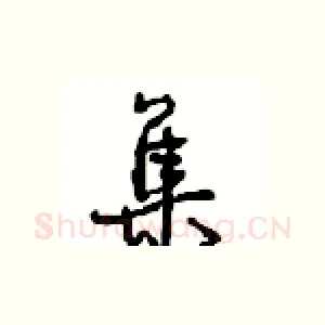 集