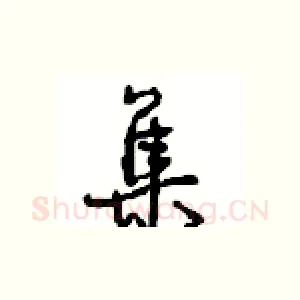 集
