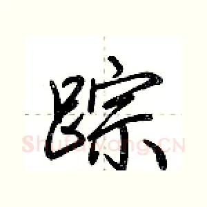 踪