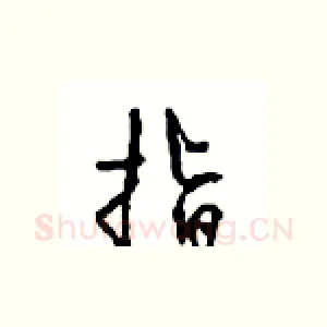 指
