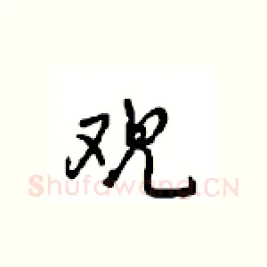 观