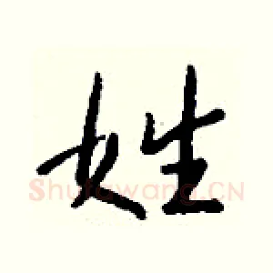 姓