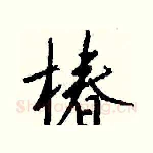 椿