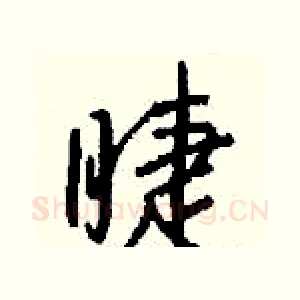 睫