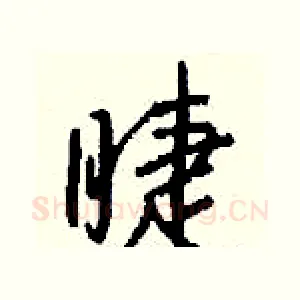 睫