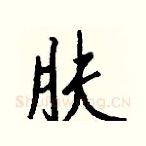 肤