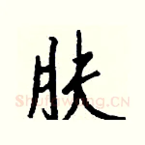 肤