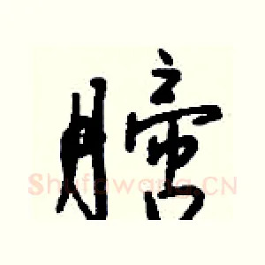 膪