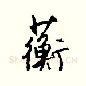蘅