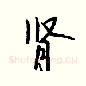 肾