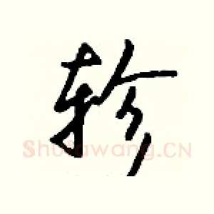 轸