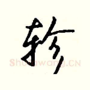 轸