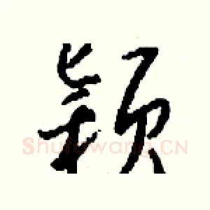 颖