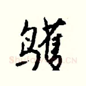 鹱