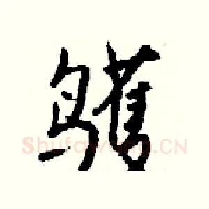 鹱