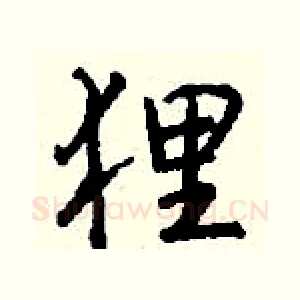 狸