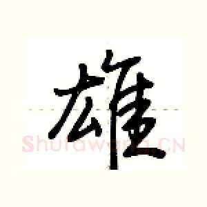 雄
