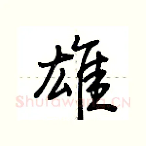 雄