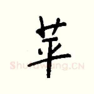 苹