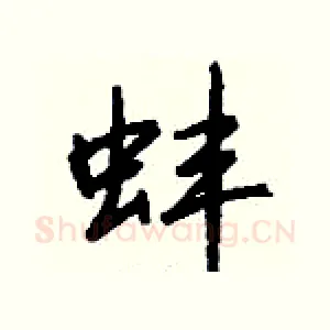 蚌