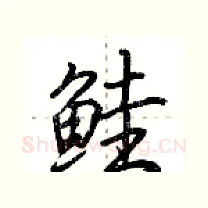 鲑