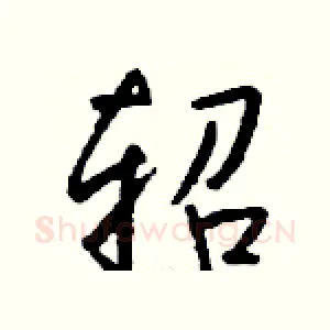 轺