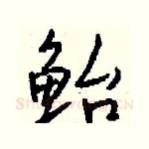 鲐