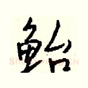 鲐