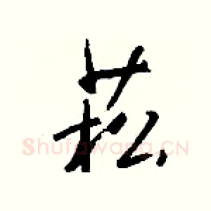 菘