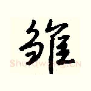 雏