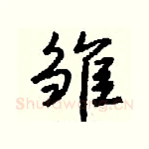 雏