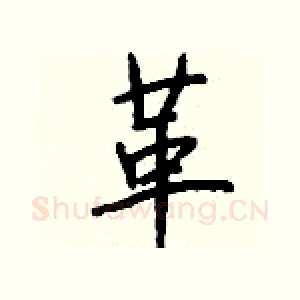 革