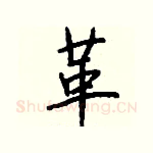 革