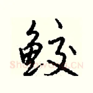 鲛
