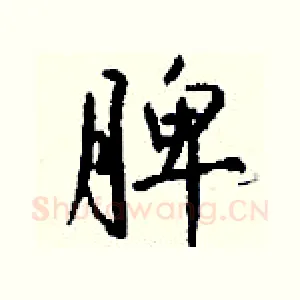 脾