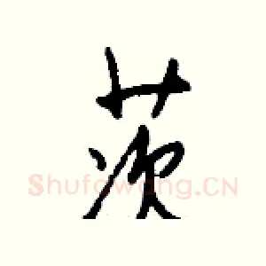 茨