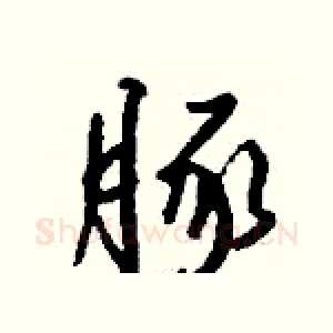 豚
