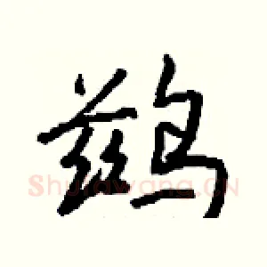 鹚