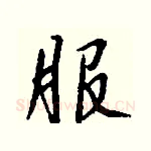 服