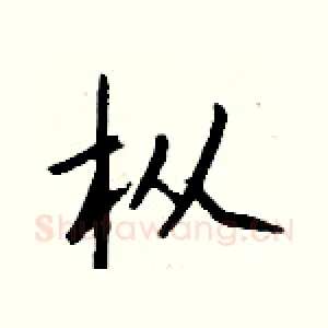 枞
