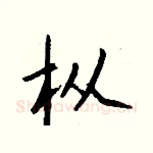 枞