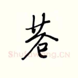 苍
