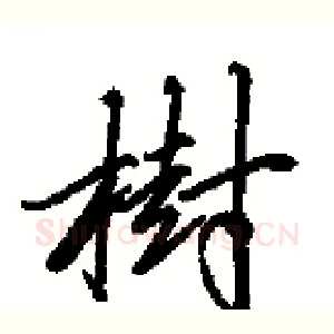 樹