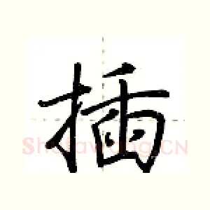 插
